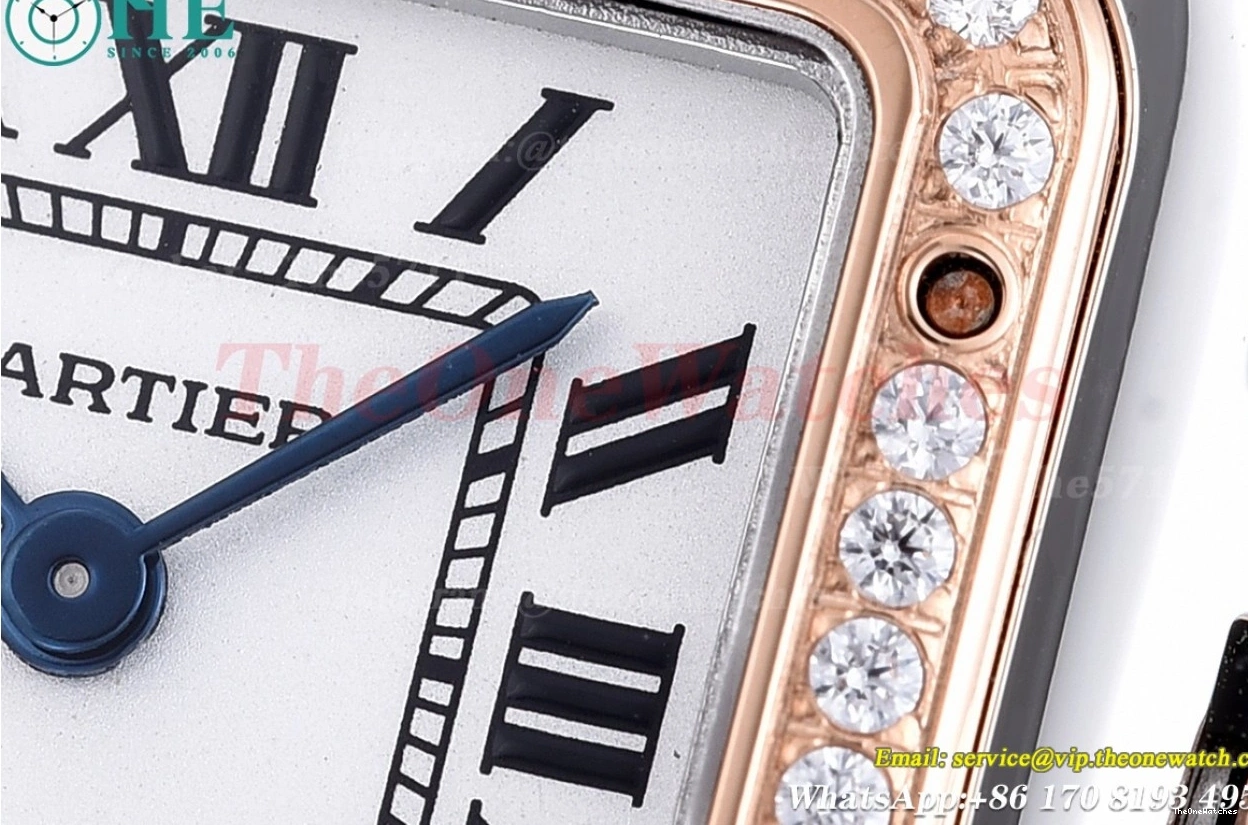 Secrete Ladies RG Dia 8848F Swiss White Panthere 22mm SS De Qtz Dial 0517